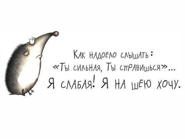  - 26  2014  07:32