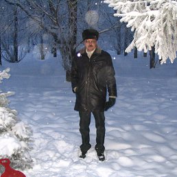 ������, ������, 65 ���