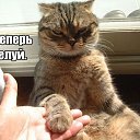 ���� ������, ���������, 66 ��� - ��������� 1 ��� 2014 � ������ ������ ��������