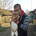  **********,  -  15  2014    