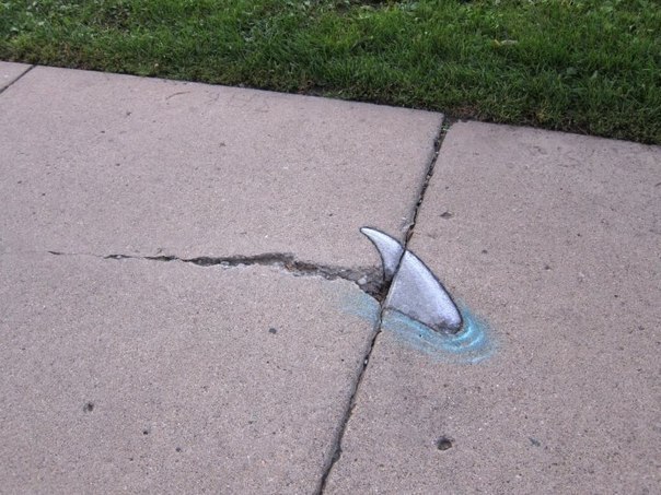    David Zinn - 6