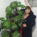 ���� ����, ��������, 44 ���� - ��������� 18 ������� 2014 � ������ ���� ����������