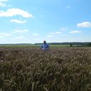 �������� �� ������� ���� ����������