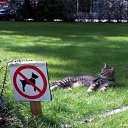 ���� ���������, �����-��������� - ��������� 31 ���� 2014 � ������ ������ ��������