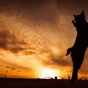 ���� ����, �����-��������� - ��������� 13 ������� 2014 � ������ ���� ����������