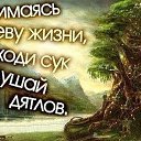 ���� ������, ��������� - ��������� 23 ���� 2014 � ������ ������ ��������
