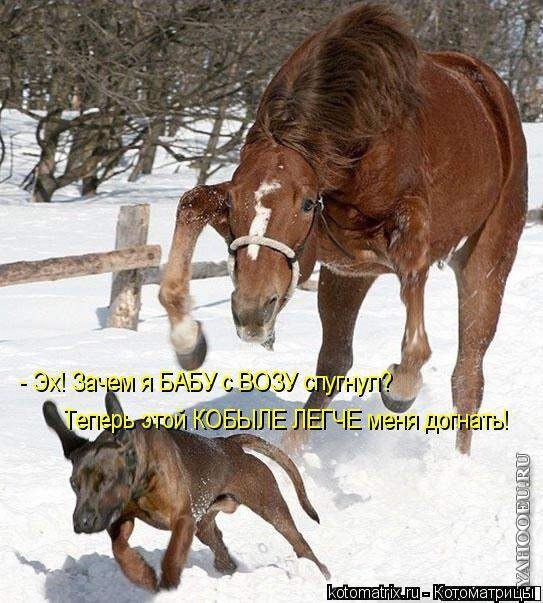 �������� �������� - 31 ����� 2014 � 20:49