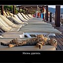 ���� �_�_�_�_�, ������-��-����, 43 ���� - ��������� 15 ��� 2014 � ������ ������ ��������