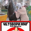 ���� ������, ������, 62 ���� - ��������� 29 ������ 2014 � ������ ���� ����������