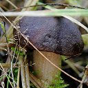 ���� �����, �����, 64 ���� - ��������� 6 ��� 2014 � ������ ������������ ������