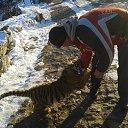 ����� ������