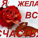 ���� ������, ����, 54 ���� - ��������� 16 ������ 2014 � ������ ������ ��������