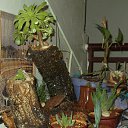 ���� Sofiane, ���� - ��������� 18 ������ 2014 � ������ �jardin�