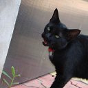 ���� Gennady, ������� - ��������� 22 ������� 2014 � ������ ����� ��� ������������