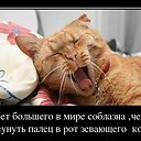 ���� ������., ������, 65 ��� - ��������� 6 ��� 2014 � ������ �����,� �����...�