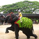 ���� ����*, ���� - ��������� 27 ������ 2014 � ������ ���� ����������