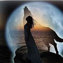  Shoh, -, 40  -  25  2014    