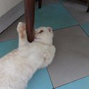 ���� �����, �����-���������, 62 ���� - ��������� 29 ���� 2014 � ������ ���� ��������