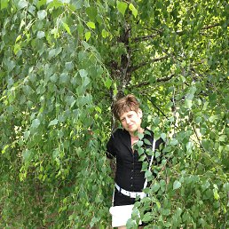 ������� �����, ������, 51 ���