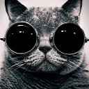 ���� ��������� Sanches, ������, 45 ��� - ��������� 2 ������� 2014 � ������ ���� ����������