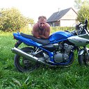 Suzuki GSF 600 S Bandit �� ������� ���� ����������
