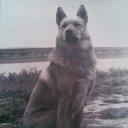 ���� ���������, ������������� - ��������� 24 ��� 2014 � ������ ���� ����������