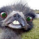 ����!((((����� ������!!!!!(((((((((((((( �� ������� ������ ��������