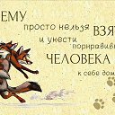  ,  -  17  2014   