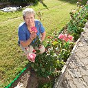  , , 68  -  22  2014    2014