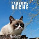 ���� �������, �����������, 37 ��� - ��������� 2 ������ 2014 � ������ ������ ��������