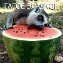 ���� Vladislav, ������ ��������, 37 ��� - ��������� 20 ������� 2014 � ������ ������ ��������