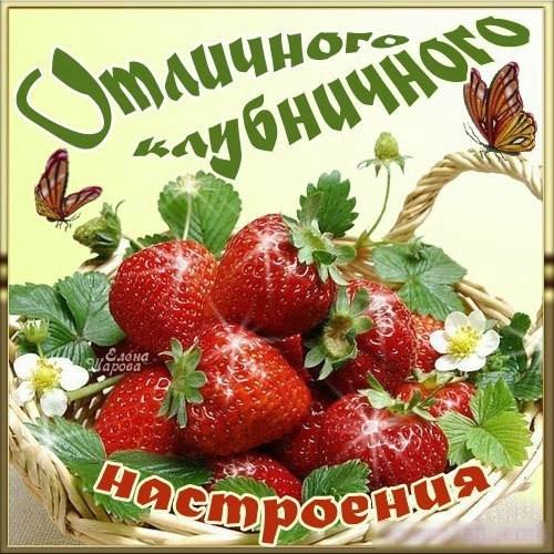 �������� ��� ���� ���������! ������ �� ��������: ...