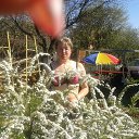 ���� �������, �����������, 51 ��� - ��������� 24 ������ 2014 � ������ ���� ����������