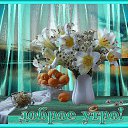 ���� �����, ��������� - ��������� 6 ������ 2014 � ������ �� ������ �����