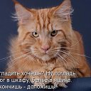���� Ta��, ������ - ��������� 24 ���� 2014 � ������ ������ ��������