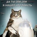 ���� ��������, �����������, 59 ��� - ��������� 7 ��� 2014 � ������ ������ ��������