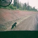 ���� ������, ������, 66 ��� - ��������� 12 ��� 2014 � ������ ��.�������.�