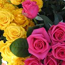 ���� ����, �������, 54 ���� - ��������� 16 ������� 2014 � ������ ���� ����������