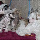 ���� �����, ����, 59 ��� - ��������� 20 ���� 2014 � ������ ������ ��������