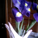 ���� Vera, ����������, 30 ��� - ��������� 20 ��� 2014 � ������ ������ ��������