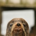 ���� �� ������ ��������� �� ������� �������