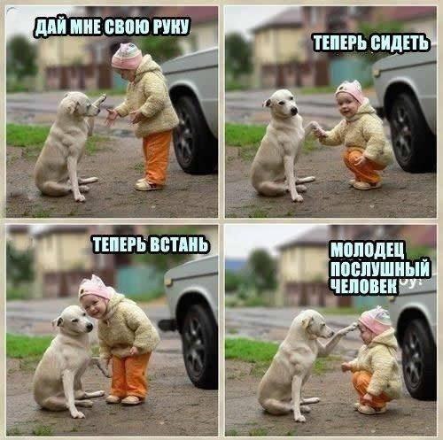 .•°Dogs Forever°•. - 10  2014  20:24