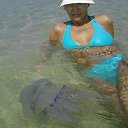 �������-��������... 2014 �� ������� �� � �� ������...�