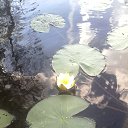 ���� ��������, �����-��������� - ��������� 10 ������� 2014 � ������ ���� ����������