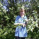 ���� ��������, �����-��������� - ��������� 20 ��� 2014 � ������ ���� ����������