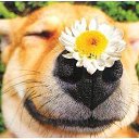 ���� ����, ������, 47 ��� - ��������� 30 ������ 2014 � ������ ������ ��������