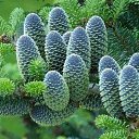 ���� ������, ����������, 64 ���� - ��������� 30 ������ 2014 � ������ ���� ����������