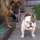 � � � �� ������� ���� ����������