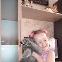 ���� �����, ����������, 43 ���� - ��������� 5 ���� 2014