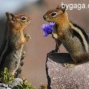 ���� �_�_�_�_�, ������-��-����, 43 ���� - ��������� 15 ��� 2014 � ������ ������ ��������